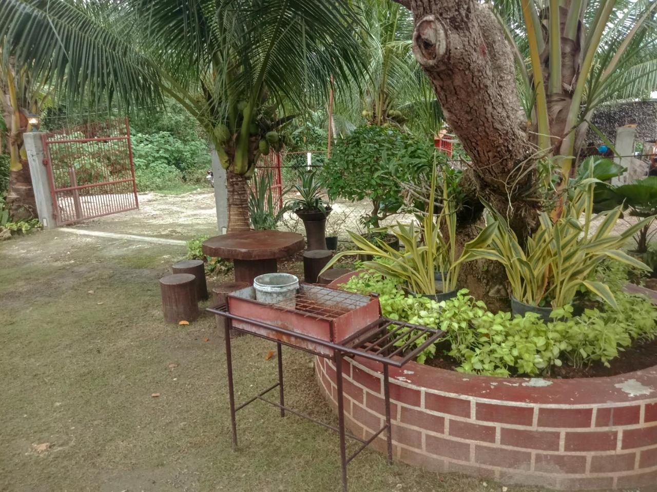 Pitaya Native Guest House Panglao Exterior photo